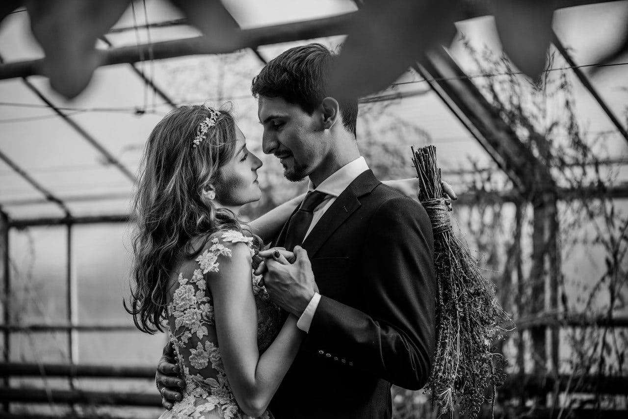 plener slubny w szklarni